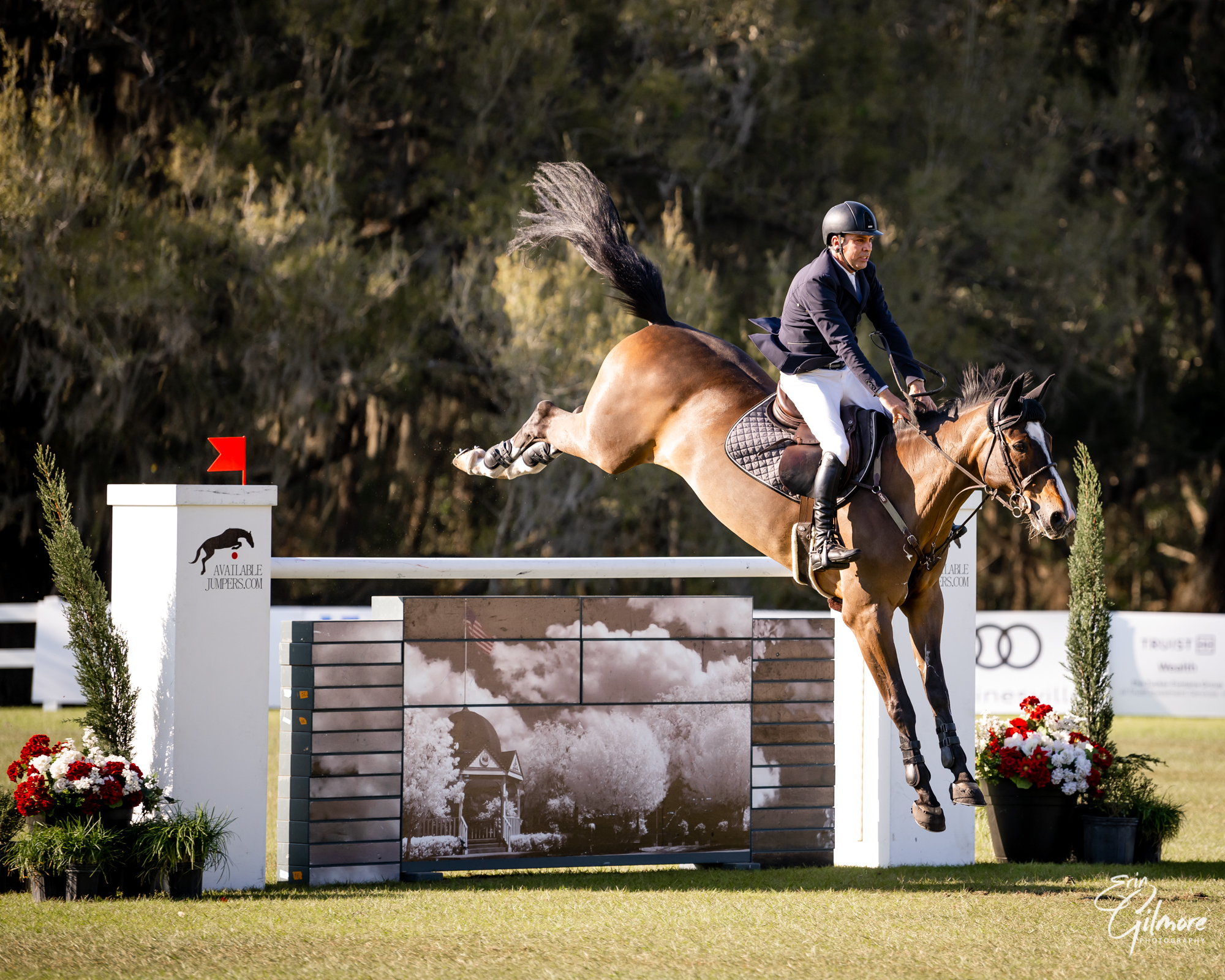 Riders and Horses for the Live Oak International CSI 4*-W